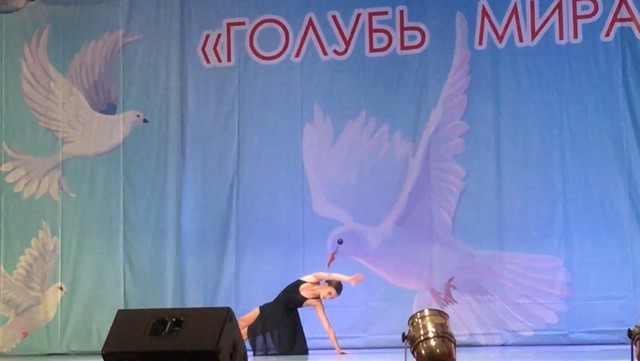 IMG 7752