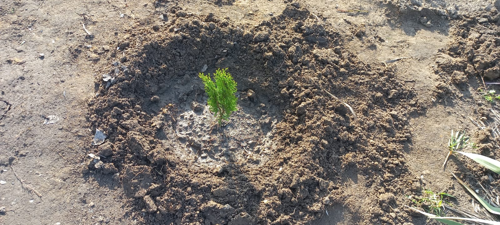PHOTO 2024 04 09 14 20 60